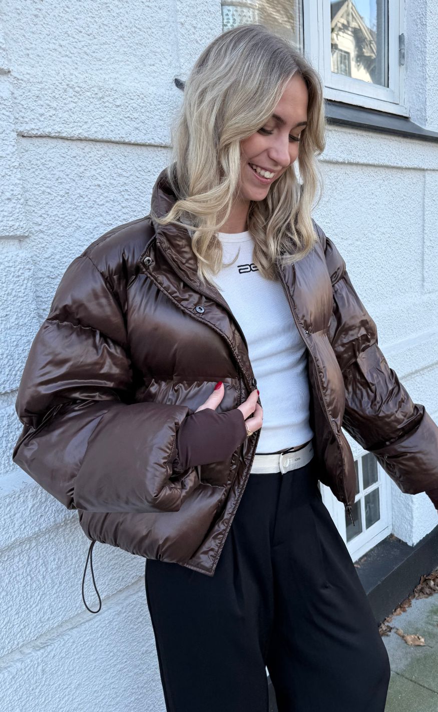 Shiny Puffer - Dark Brown